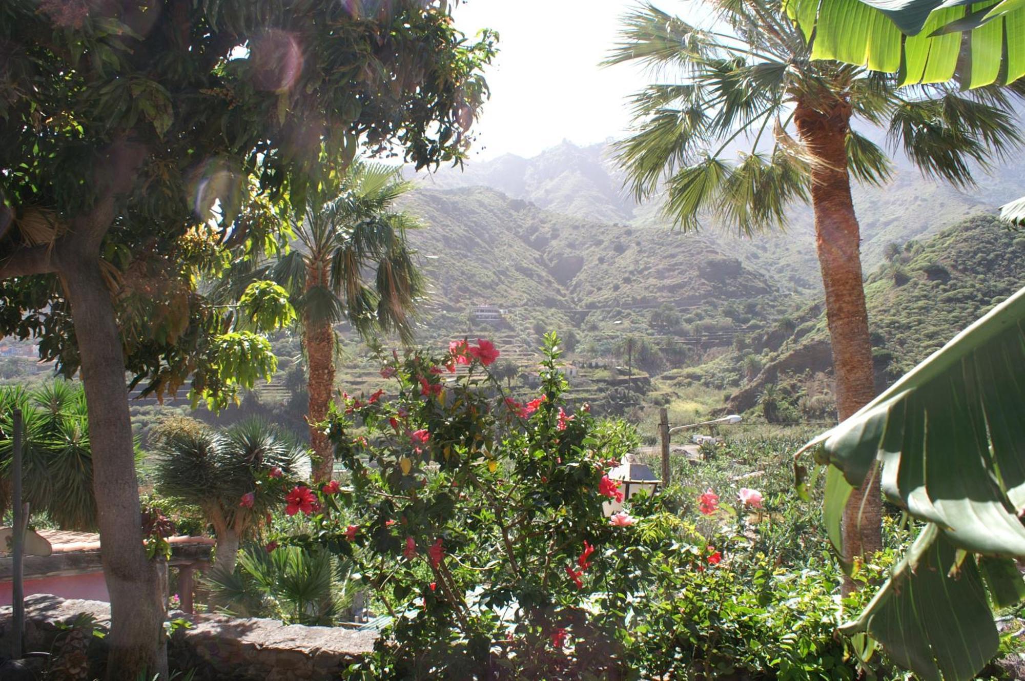 Casa Creativa Guest House Hermigua Room photo