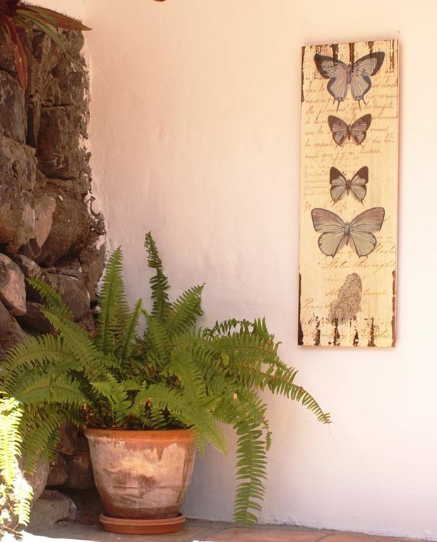 Casa Creativa Guest House Hermigua Exterior photo
